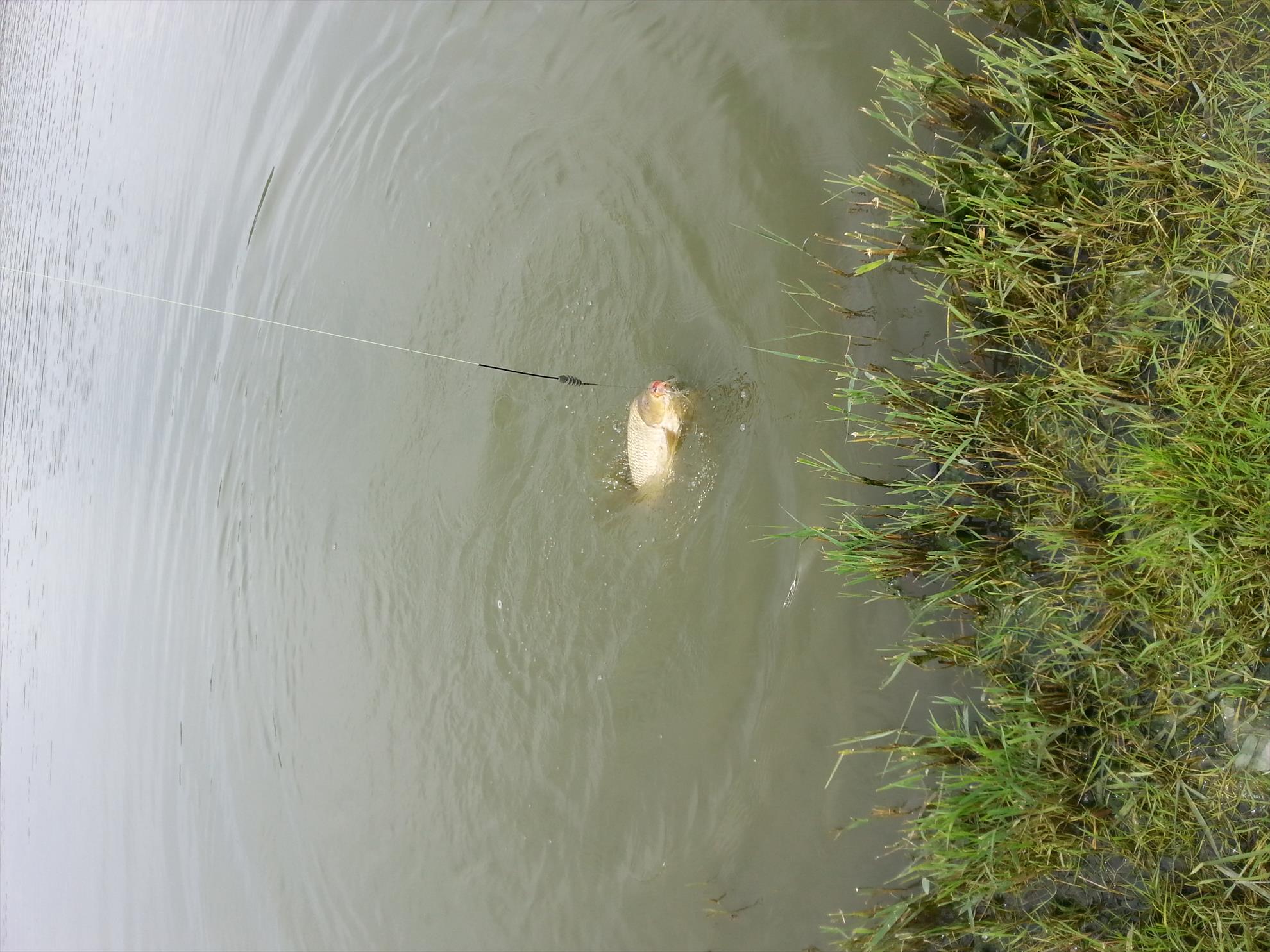 Sulimanu 3 - 4 iunie 2014 - 201406041042251.jpg